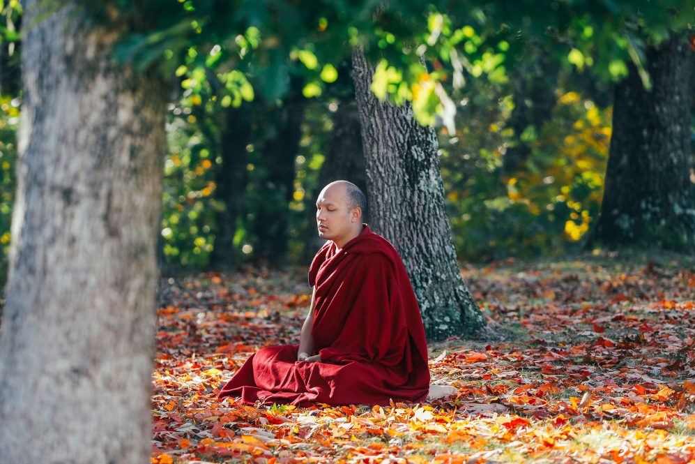 Gyalwa Karmapa en meditación